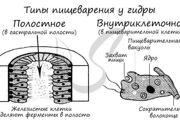 Кракен сайт регистрация