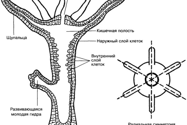2krn ссылка