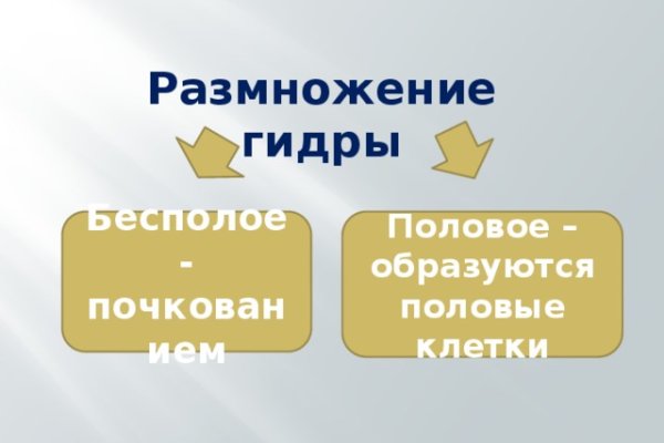 Кракен тор krakens13 at