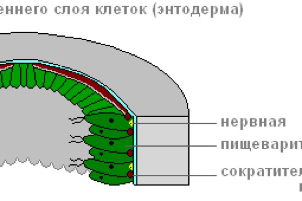Кракен сайт биз