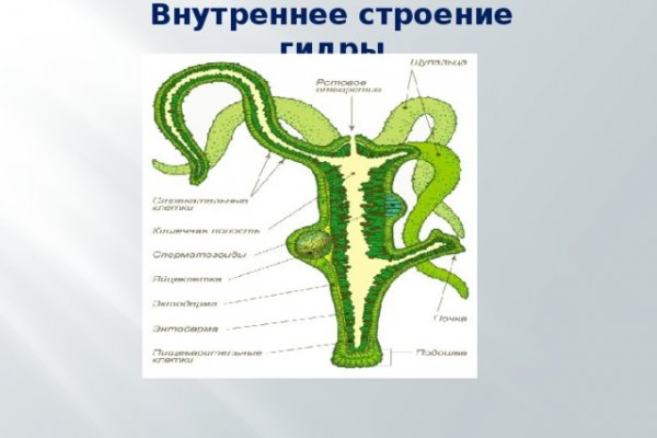Кракен сайт как выглядит
