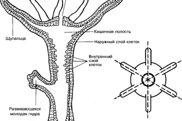 Кракен магазин ссылка
