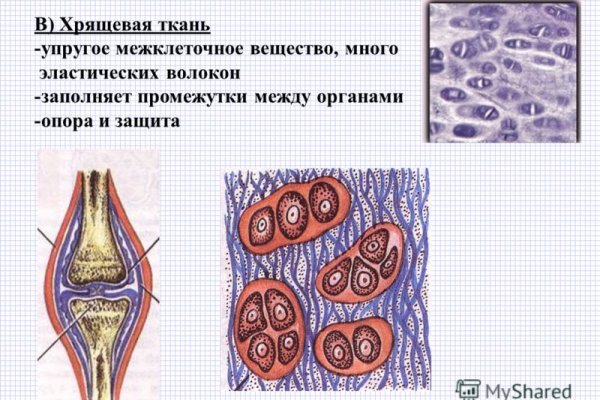 Через какой браузер заходить на кракен